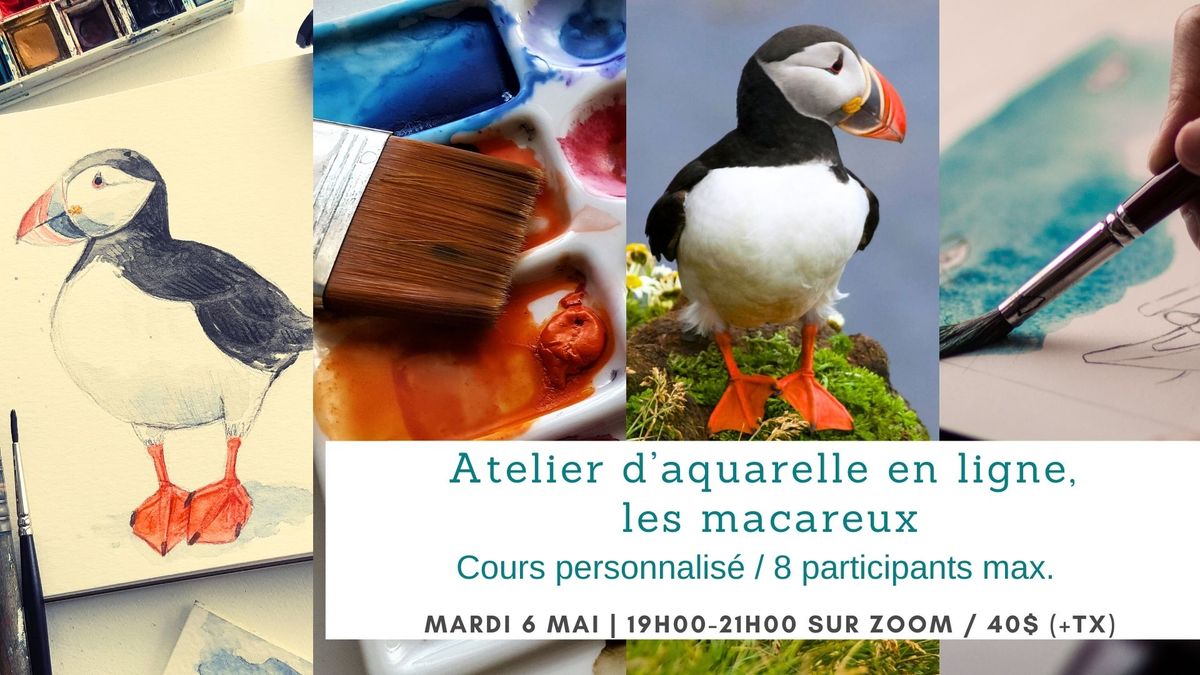 Cours d'aquarelle en ligne, les macareux