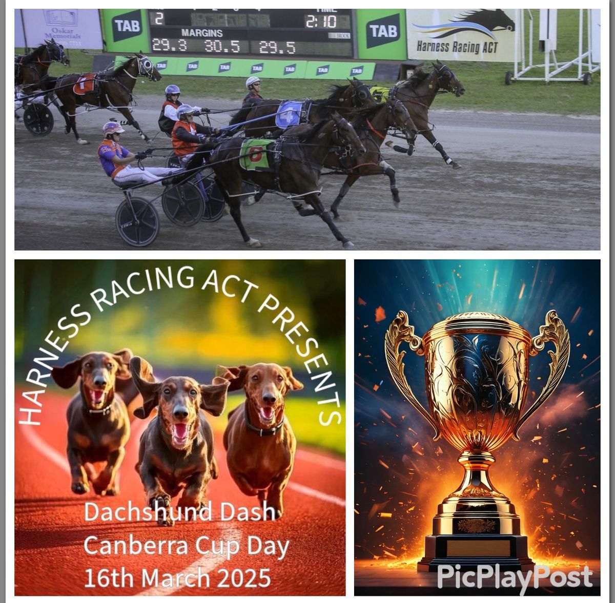 Canberra Cup -16th March 2025