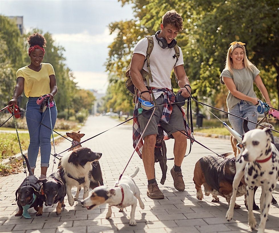 Pawsome Dog Walks in Fitzroy Gardens & Carlton Gardens