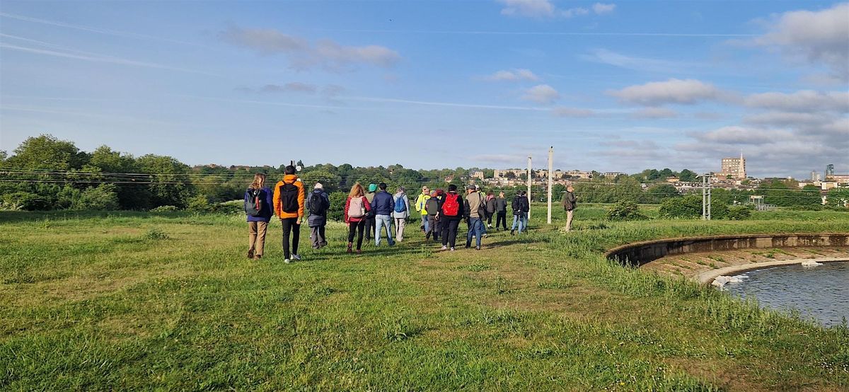 Discover Walthamstow Wetlands Guided Tour
