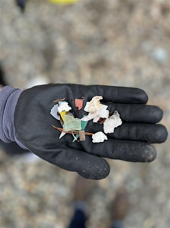Beach Clean Up with Patagonia Seattle