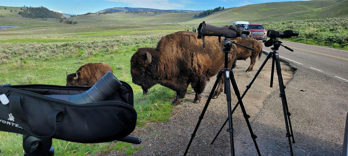 Planning a Great Solo or Group Trip to Yellowstone  - Bethel University VT