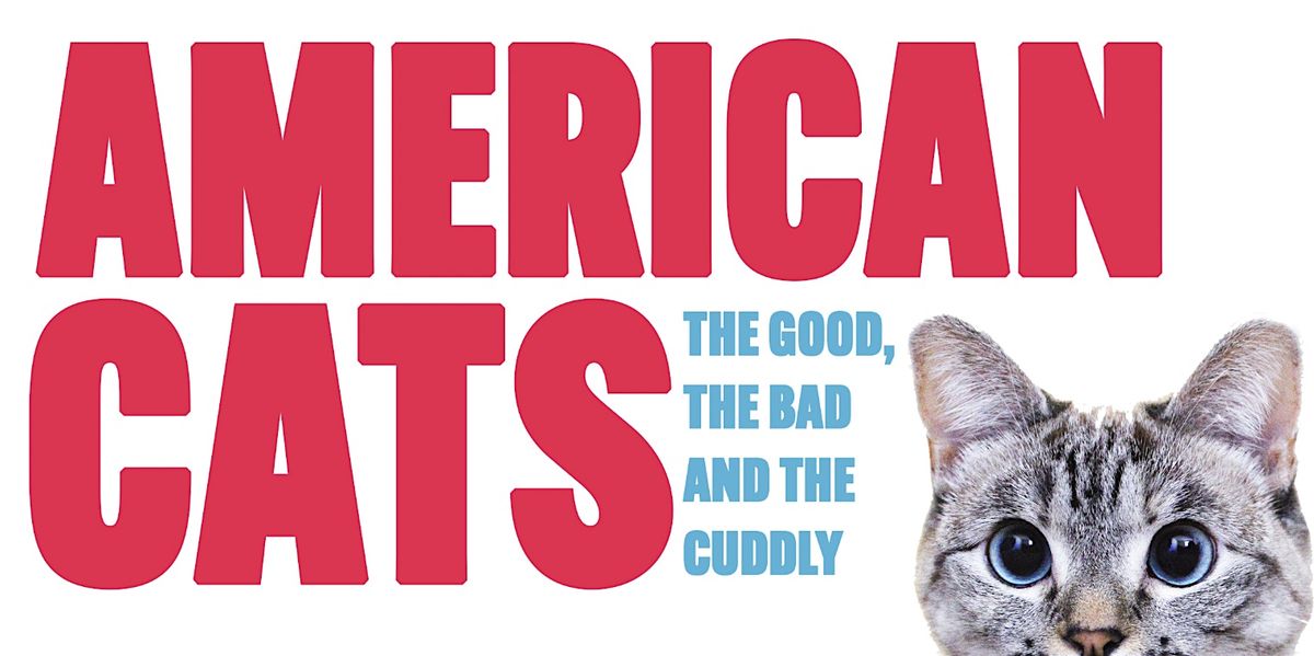 American Cats:  The Good, The Bad & The Cuddly