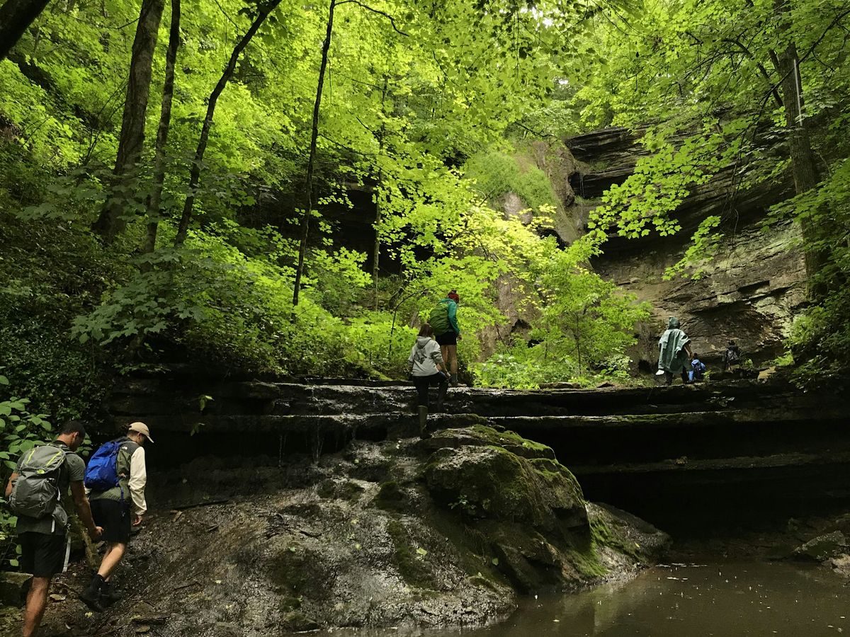 Golden Hour Hike to Elk Lick Falls