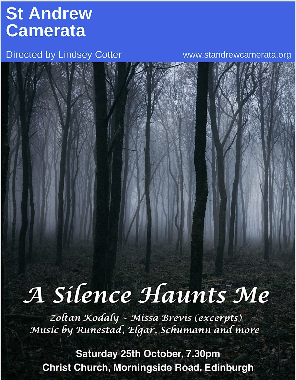 A Silence Haunts Me