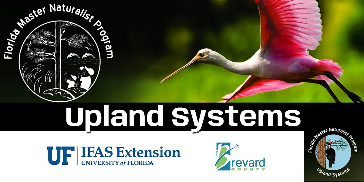 Florida Master Naturalist Program (FMNP) Upland Systems Info Page