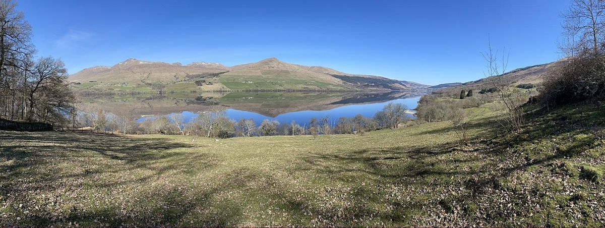 Wild Swimming and  Forest Bathing - Wilderness Experience, Loch Tay