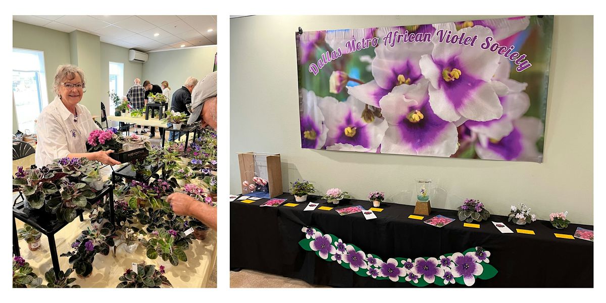 Metro African Violet Fall Sale 2025