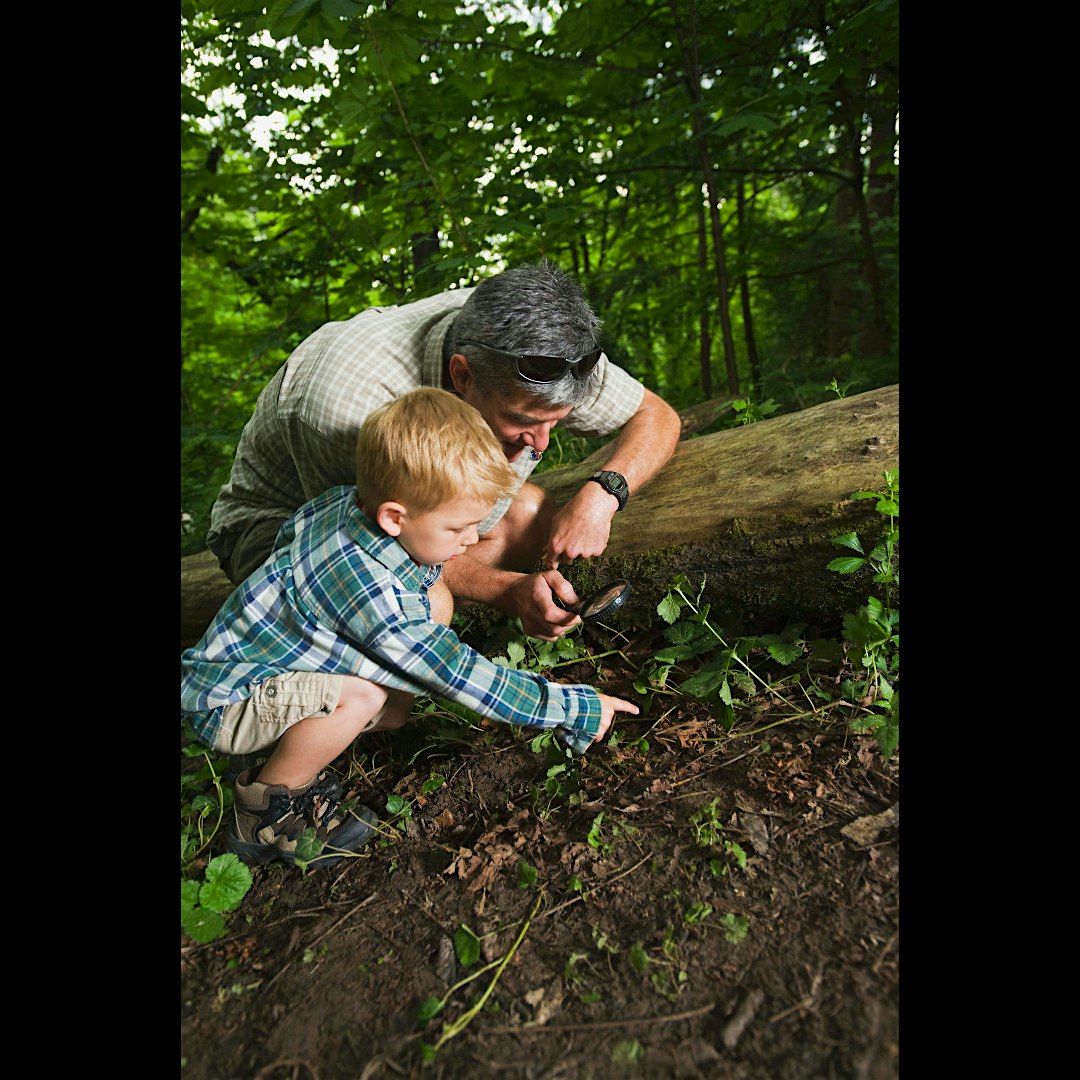 What's Under That Log?, Children's Program, $4 per child upon arrival