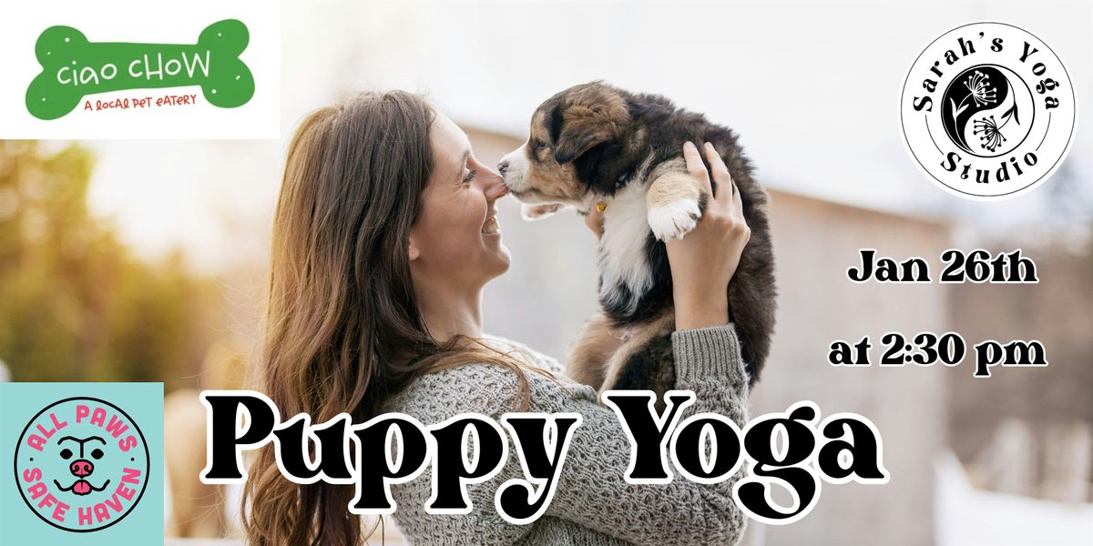 Puppy Yoga at Ciao Chow