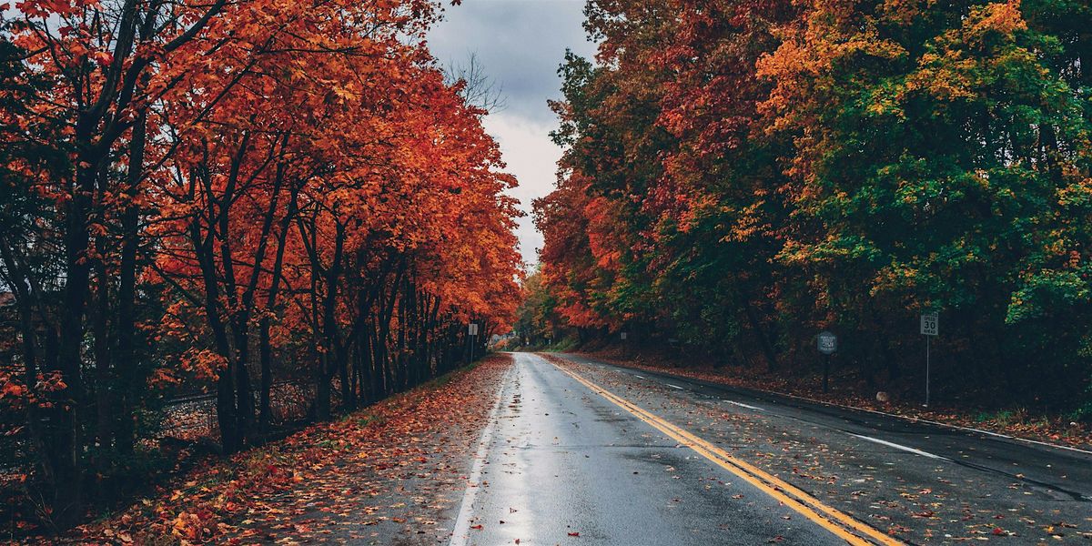 November Small Biz Networking Lunch