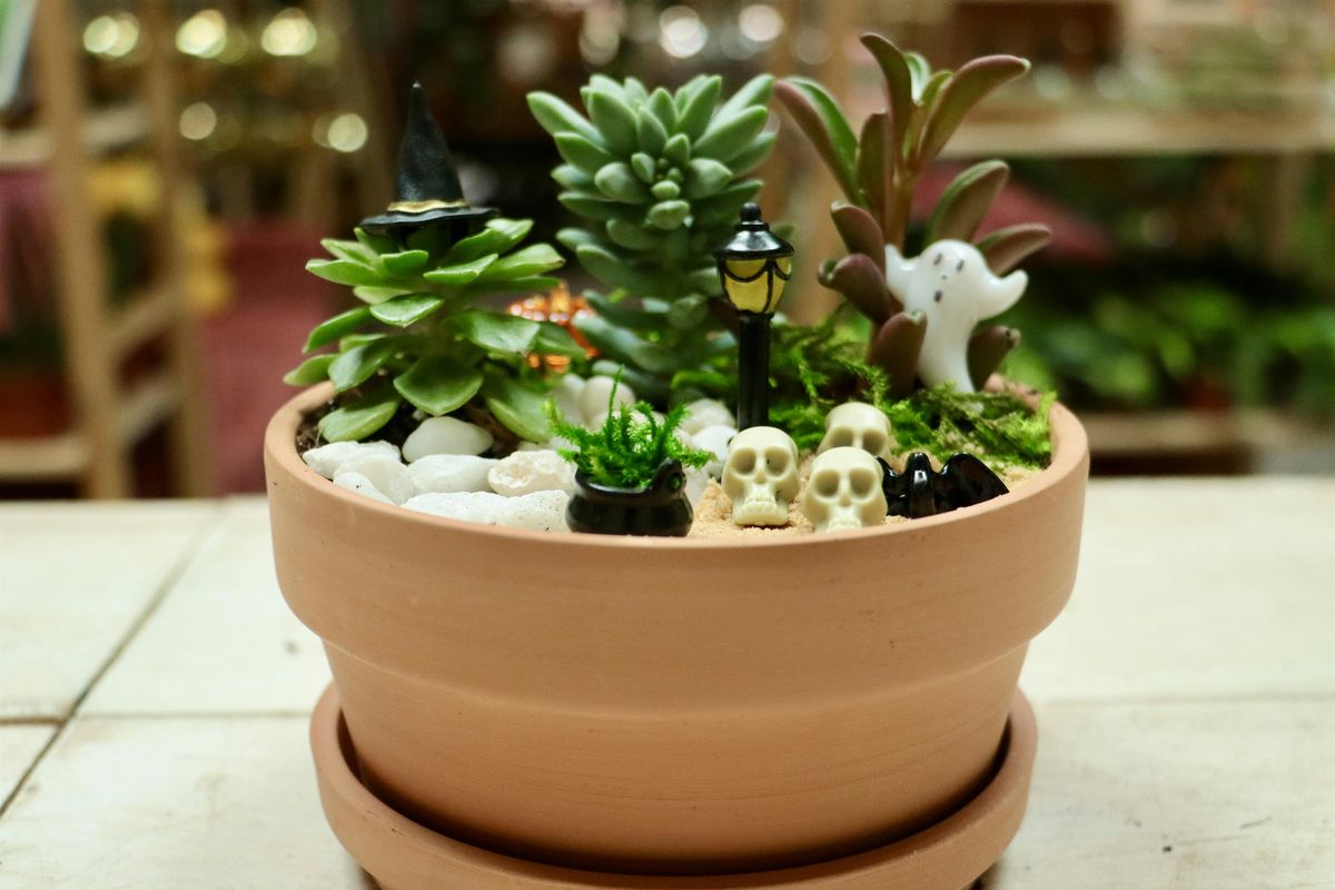 Spooky Succulent Garden Workshop