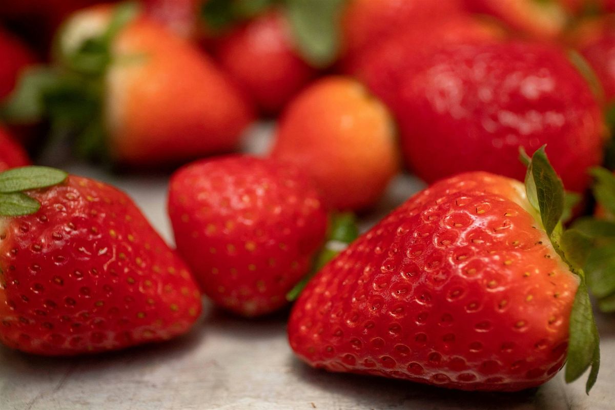 Water Bath Canning 101: Jams and Jellies