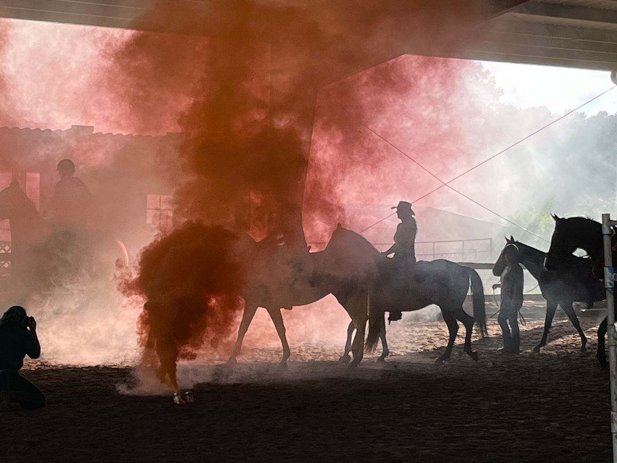 Mounted Police Training and De-Spooking Clinic