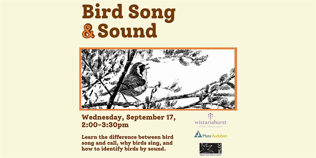 Bird Song and Sound