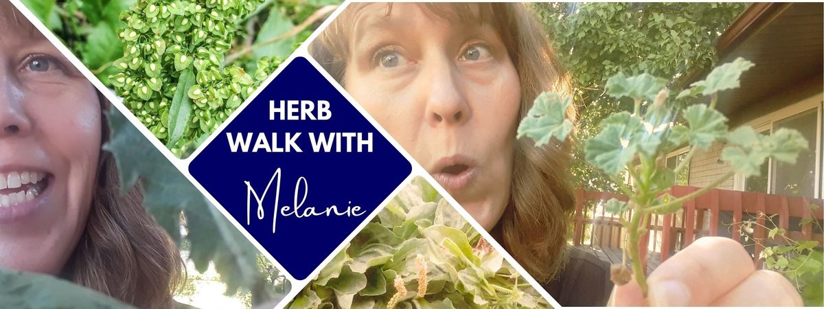 Annual Herb Walk with Melanie