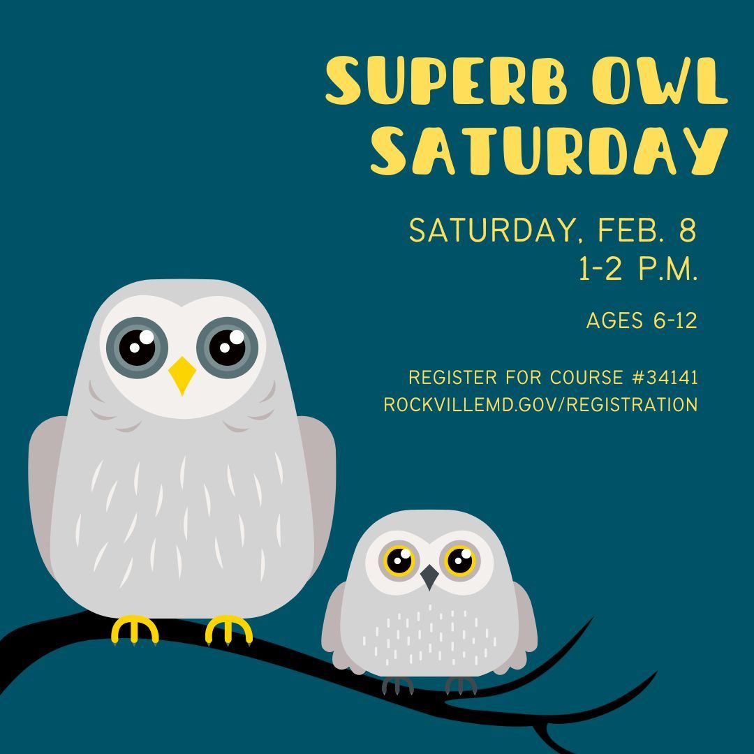 Superb Owl Saturday