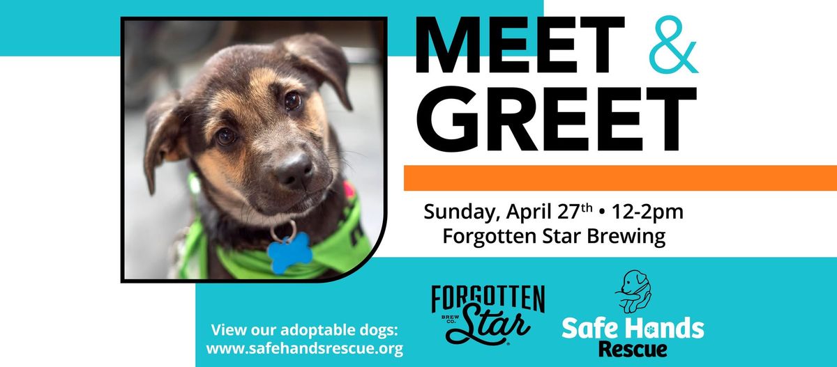 Safe Hands Rescue Meet & Greet at Forgotten Star Brewing