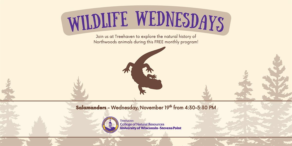 Wildlife Wednesday at Treehaven: Salamanders