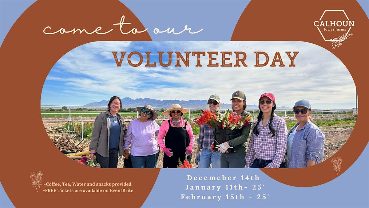 Group Volunteer Day at the Farm - February