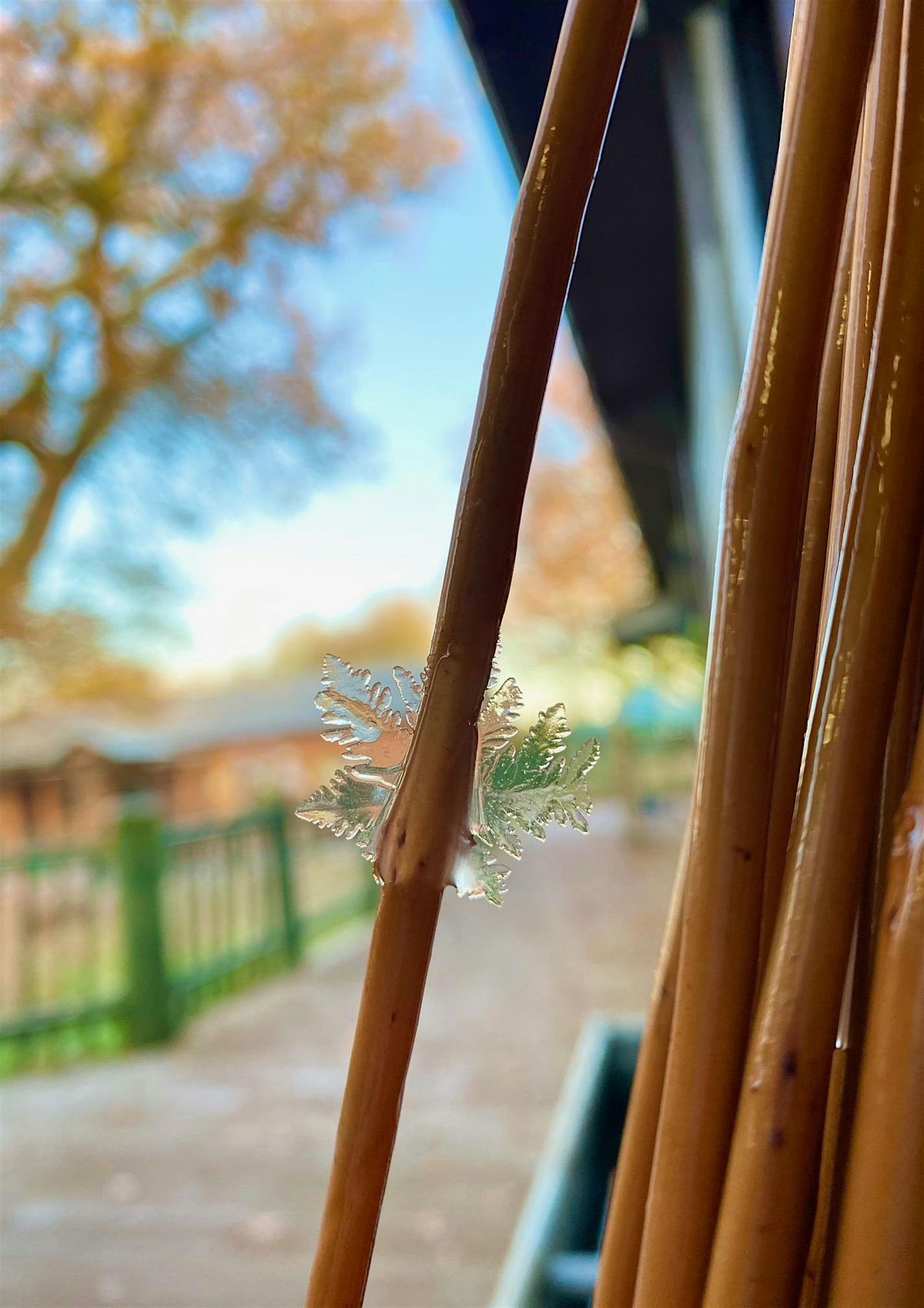 Beginners Willow Stars at Kingsbury Water Park