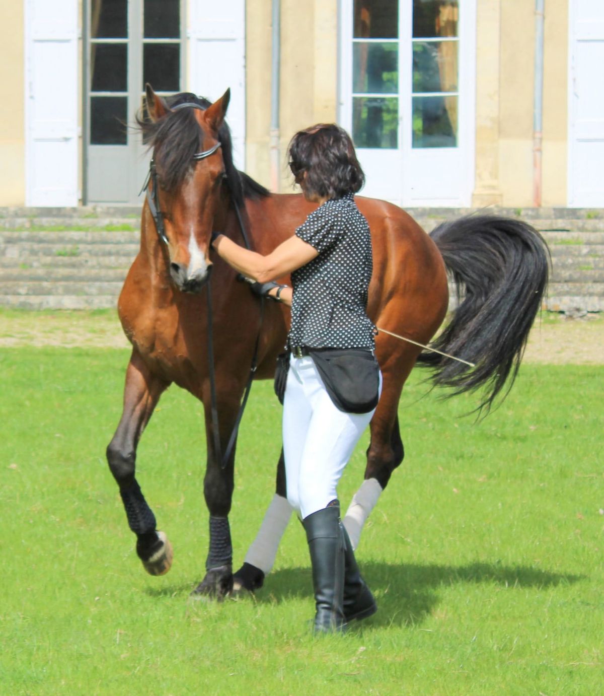 STAGE MUSCLER SON CHEVAL A PIED