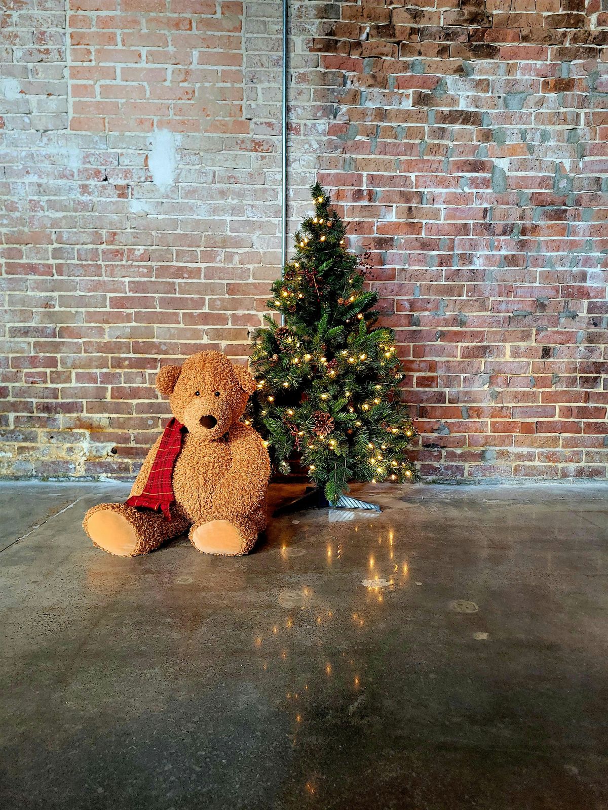 Teddy Bear Tea at 434 Fannin