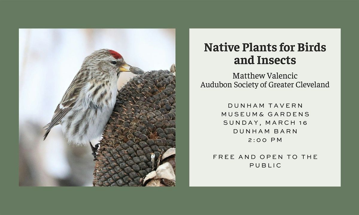 Native Plants for Birds and Insects