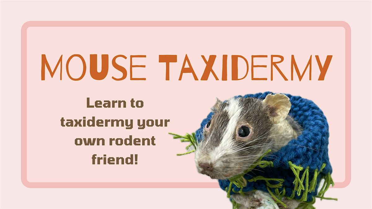 Mouse Taxidermy Workshop