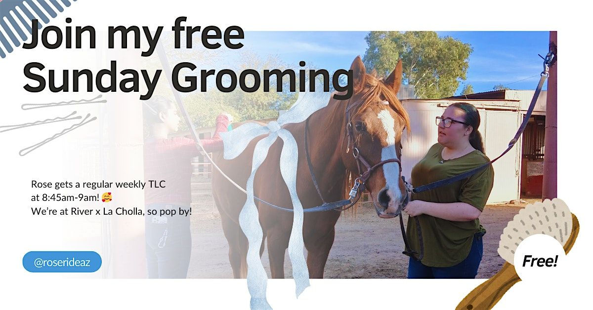 Free Horse Grooming Session