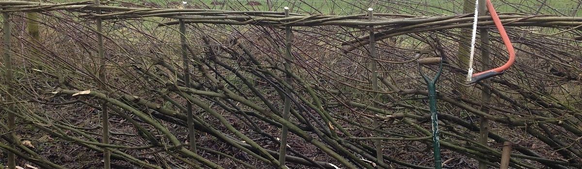 Hedgelaying Weekend for Beginners: 2-day course
