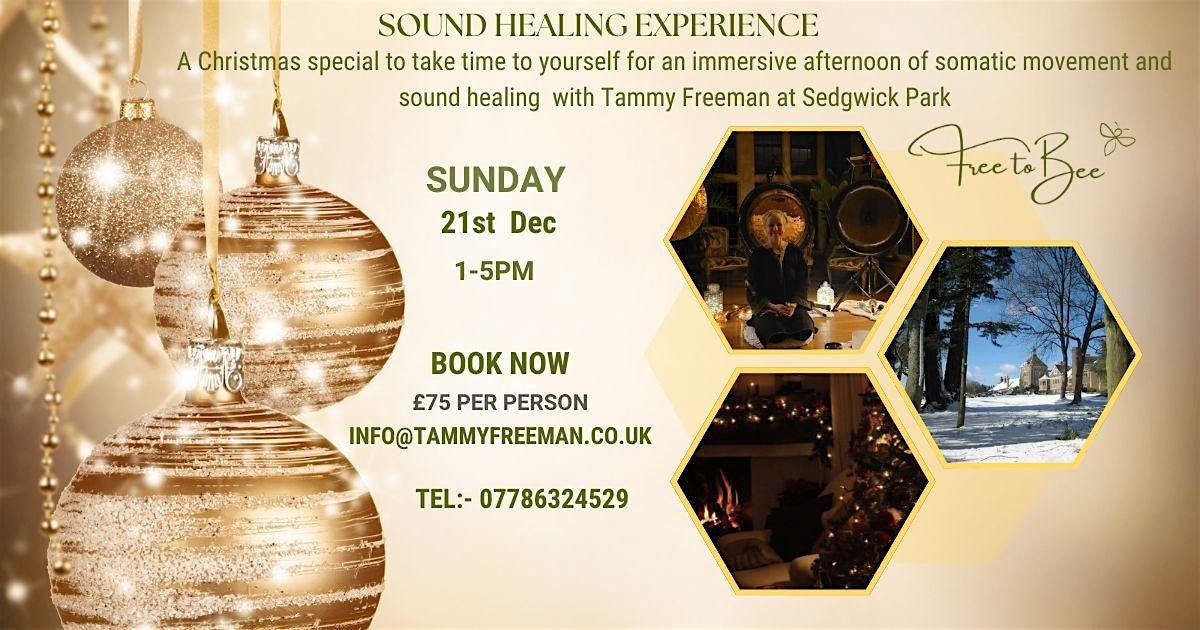 Christmas Sedgwick Park Gong Sound Healing Experience with Tammy Freeman