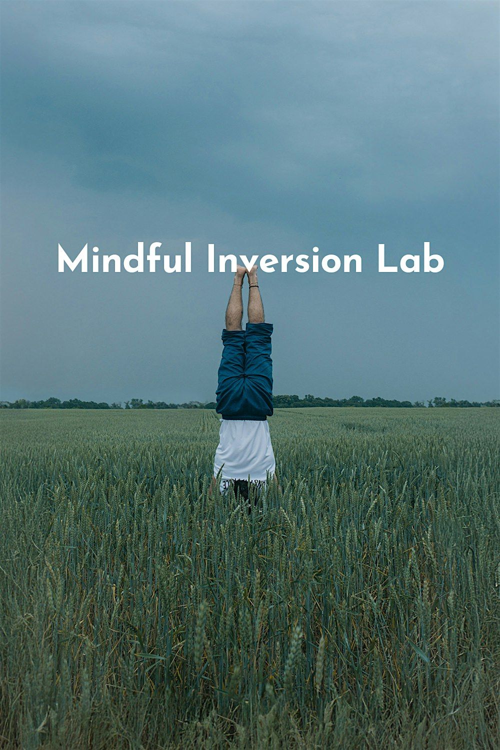 Mindful Inversion Lab