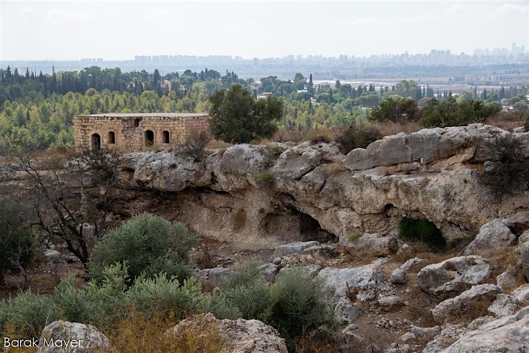 Greening the Nakba