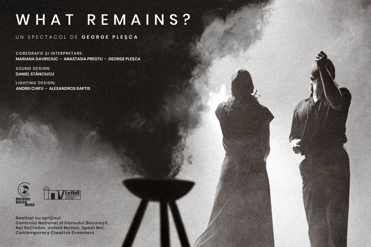 What remains? - 8 Noiembrie - Stagiunea "\u00cenVizibil" 