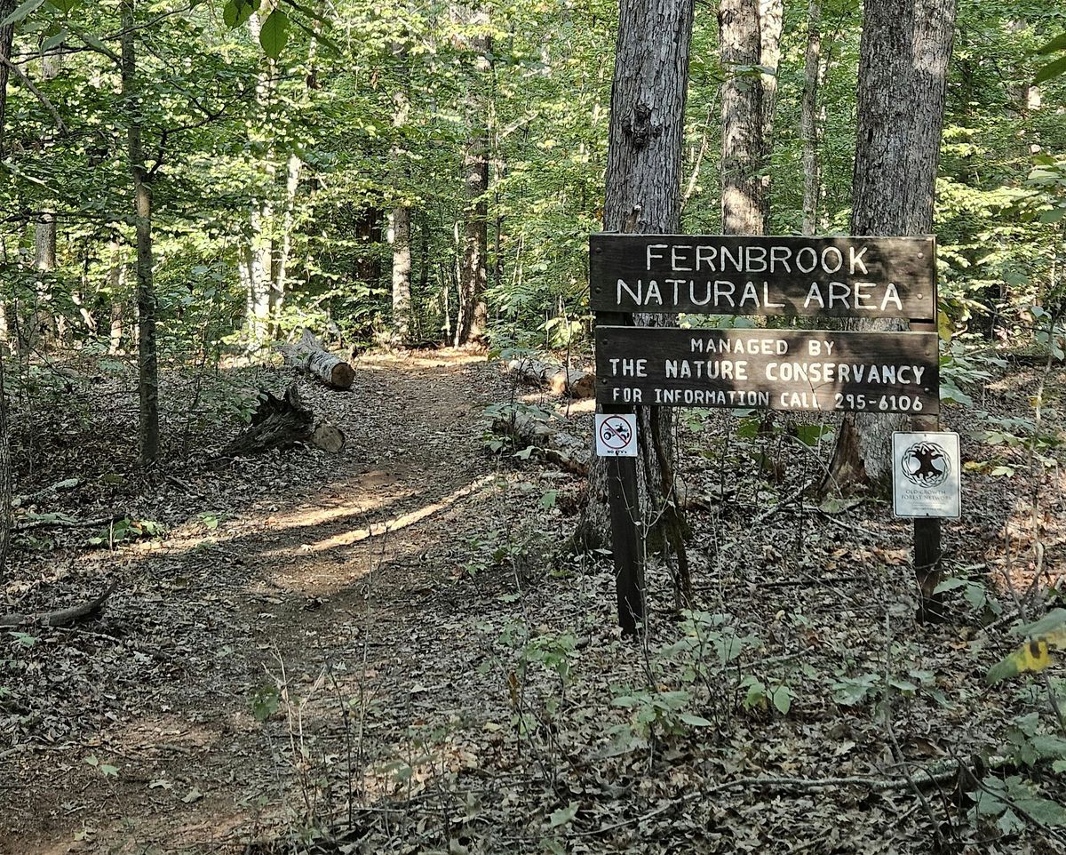 Fernbrook Old Growth Forest Walks - A Nature Conservancy Woodland