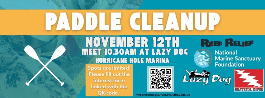 Paddle Cleanup