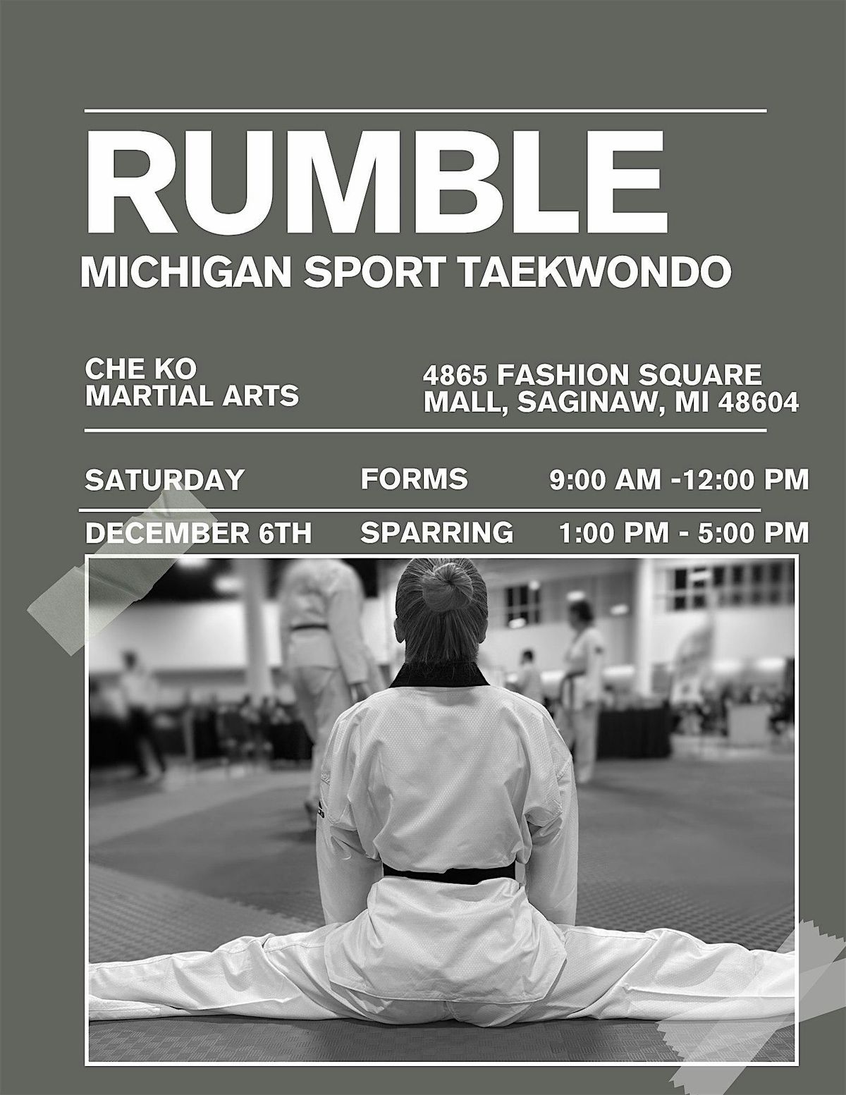 MICHIGAN SPORT TAEKWONDO RUMBLE