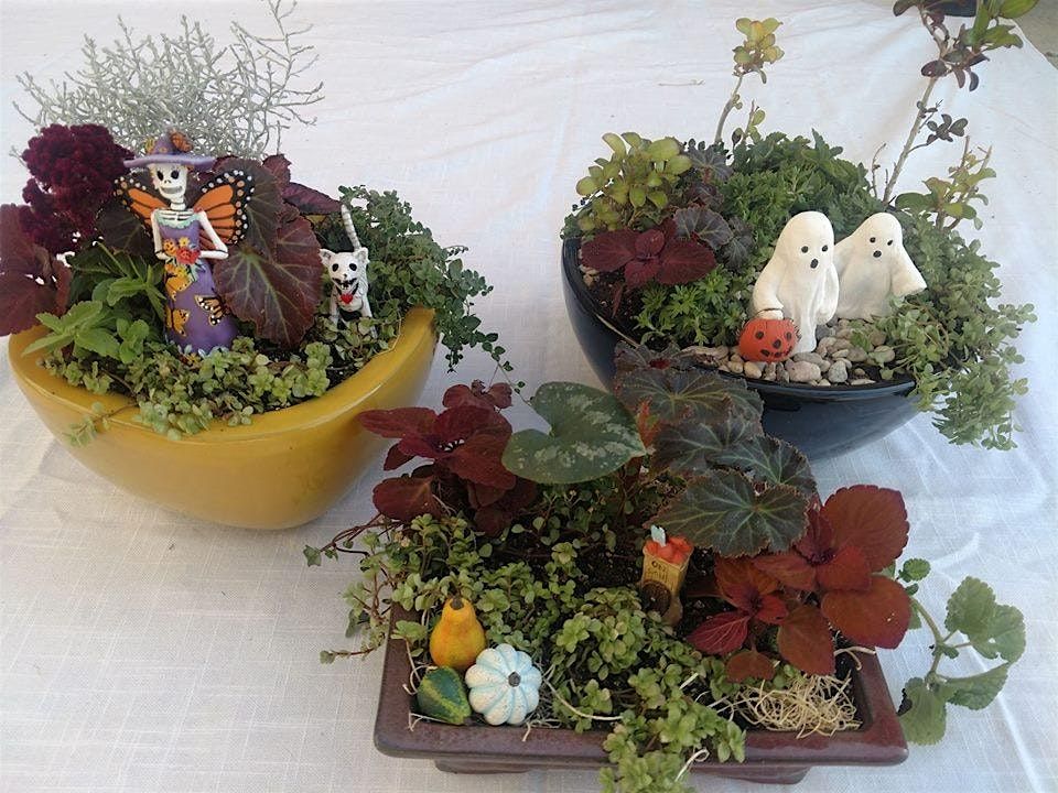 Making Halloween mini gardens!