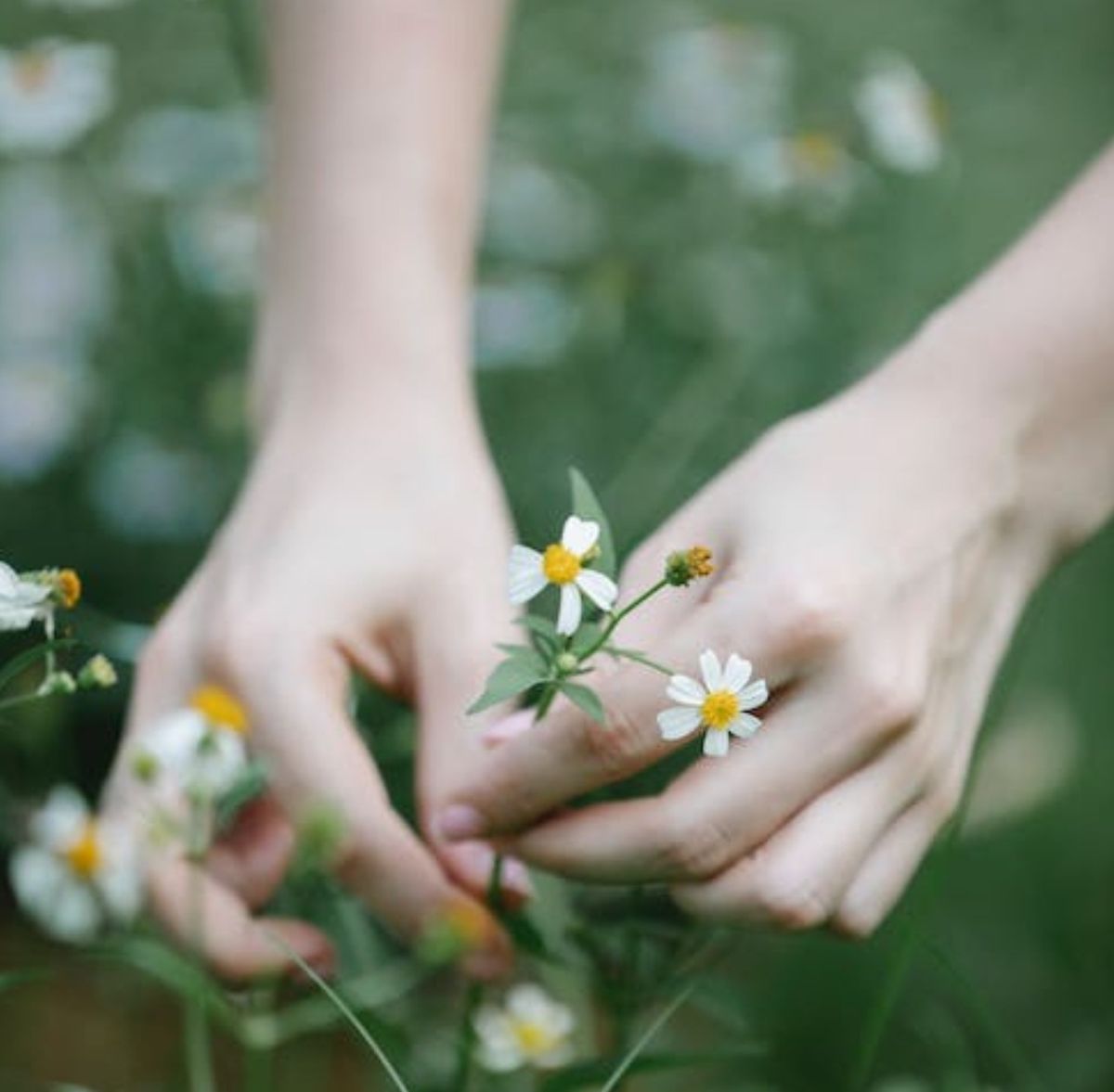 Connect With Your Essence Aromatherapy Class