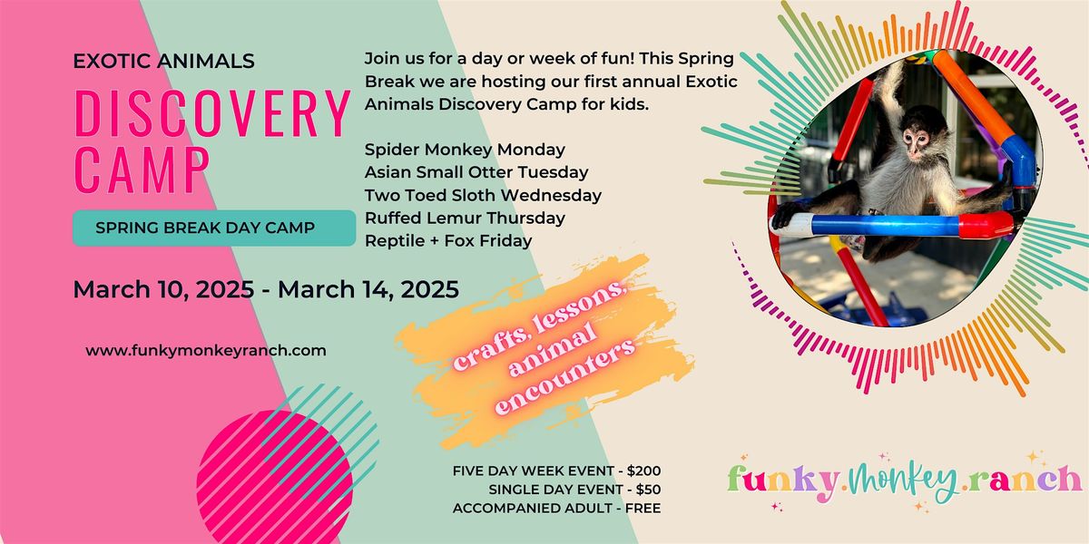 Discovery Camp Spring Break