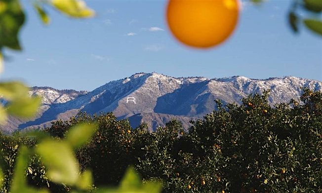 REDLANDS\u2019 CLIMATE ACTION PLAN: What It Means for You, and Why It Matters