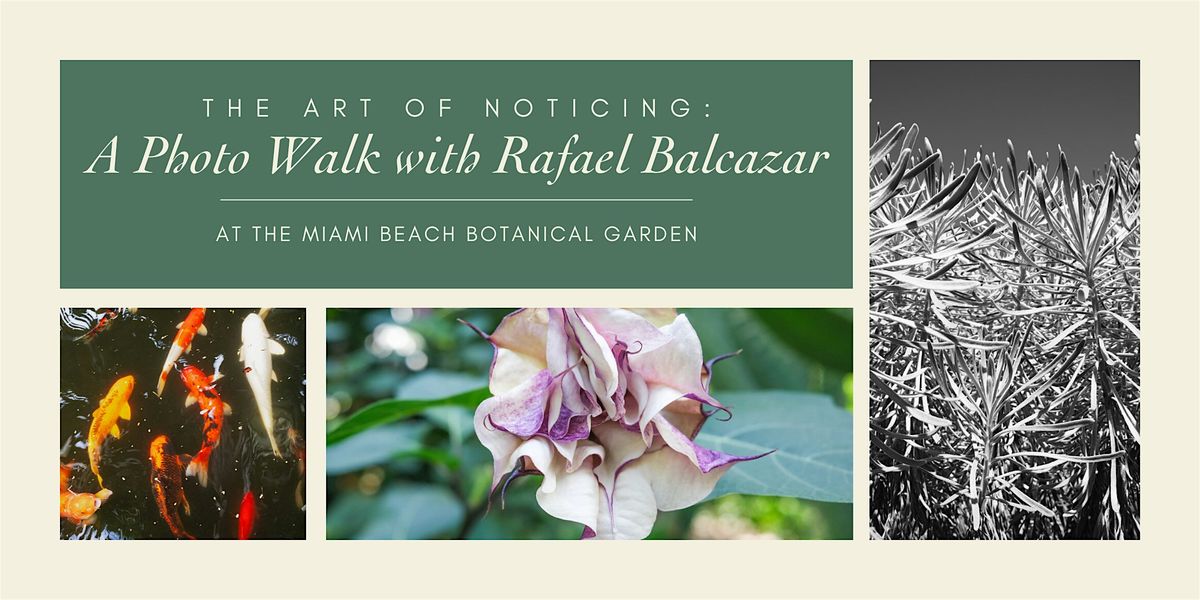 The Art of Noticing: A Photo Walk with Rafael Balcazar