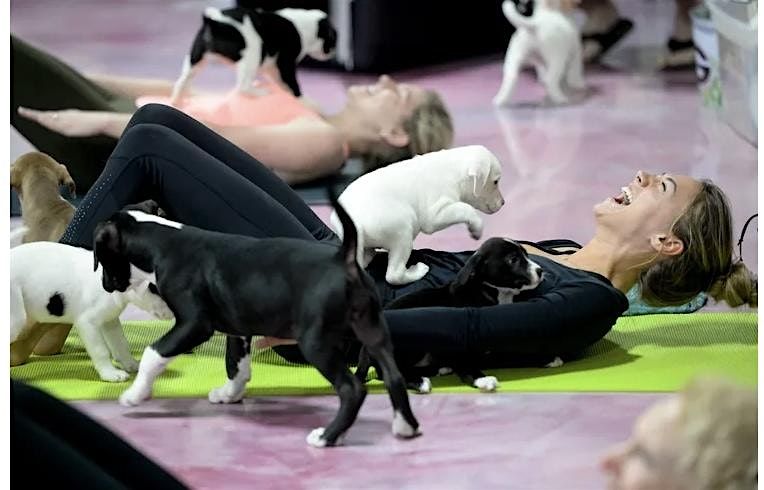 Puppies & Pilates