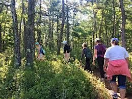 Trail Mixers: Deep conversations and Forest Bathing