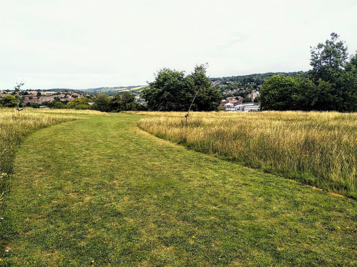 Tom Burt's Hill Awesome Autumn Woodland Work!