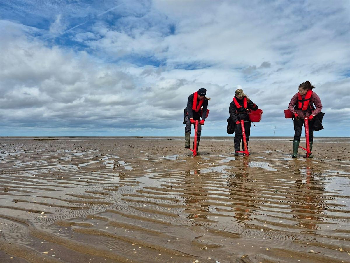 Wilder Humber: pioneering methods to achieve seascape level restoration
