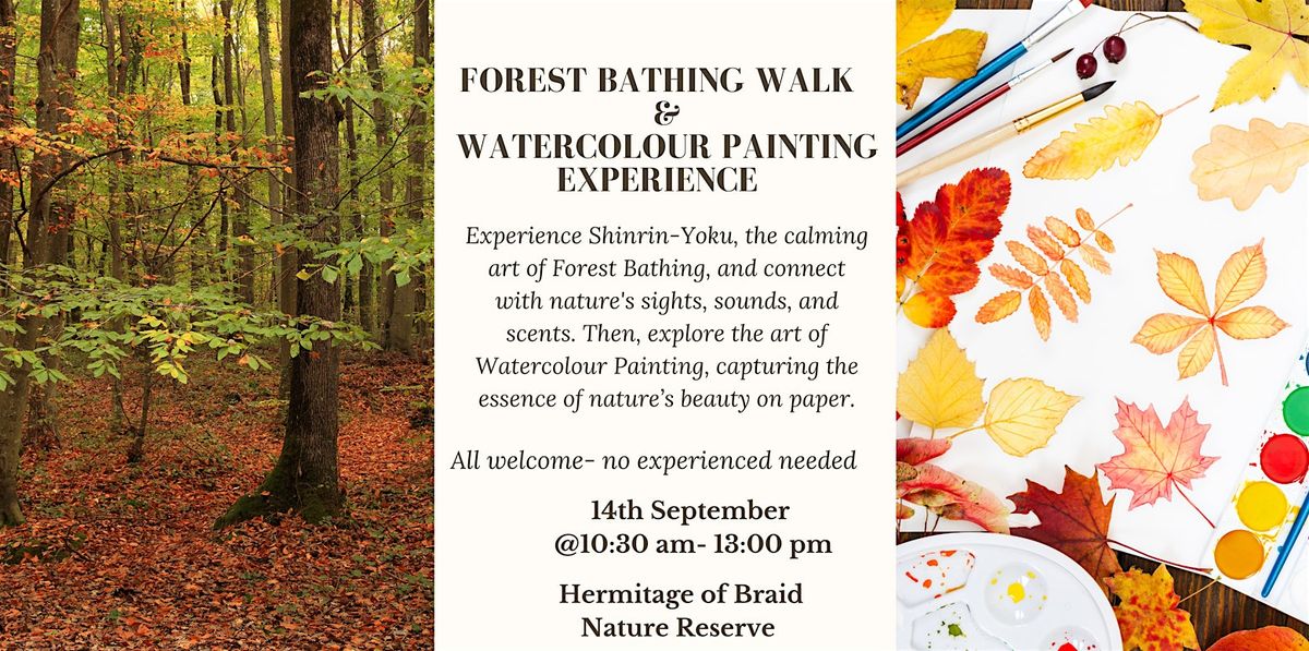 Autumn Forest Bathing Walk & Watercolour Painting Experience