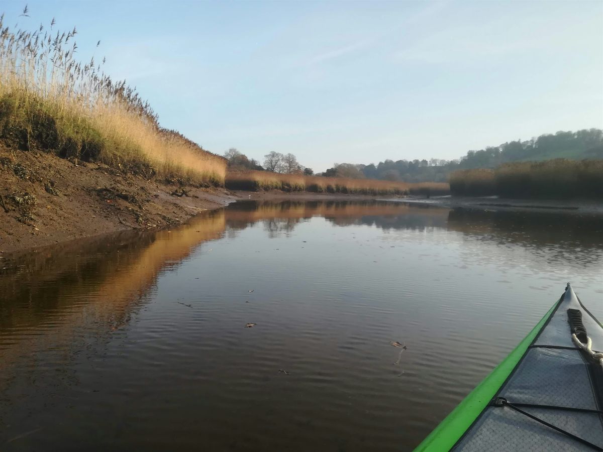 Dart Estuary Saltmarsh Boat Trip - Sat 22 Mar 10:00