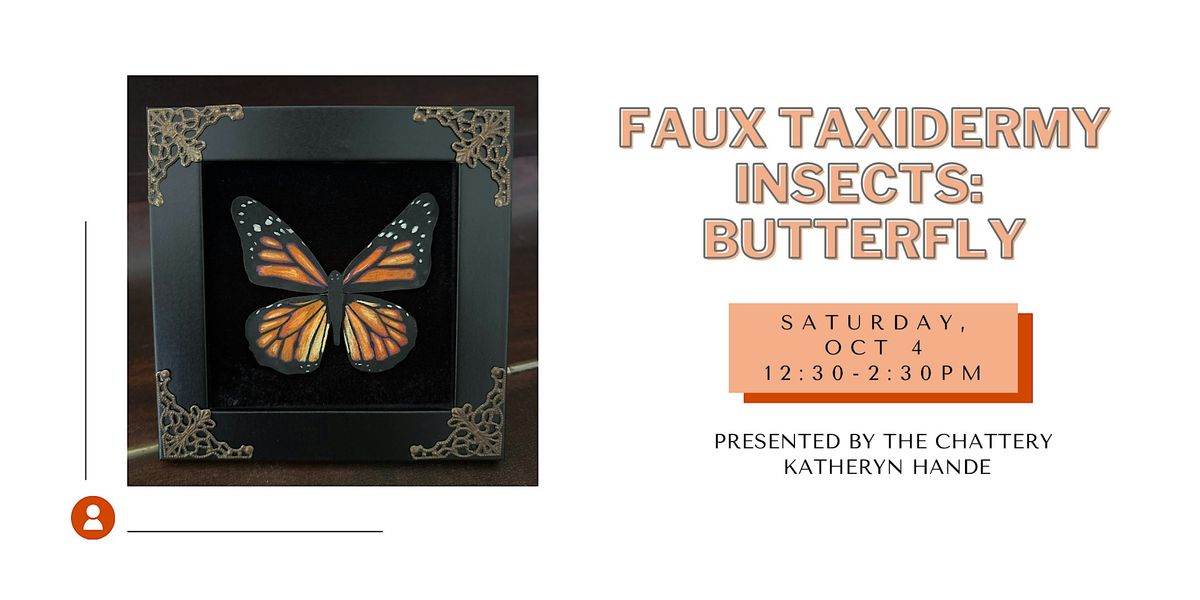 Faux Taxidermy Insects: Butterfly